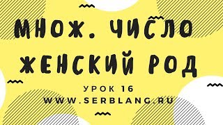 Сербский язык. Урок 16. Множ число женский род Сербский язык. Урок 16. Множ число женский род