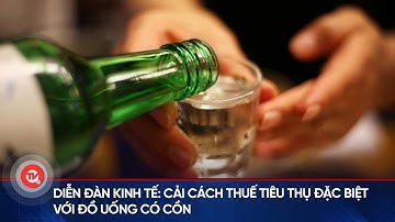 Diễn đàn kinh tế: Cải cách thuế tiêu thụ đặc biệt với đồ uống có cồn | Truyền hình Quốc hội Việt Nam