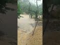 deu enchente no rio Pernambuco