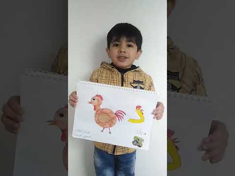 كلمة تبدأ بحرف الدال دال ديك