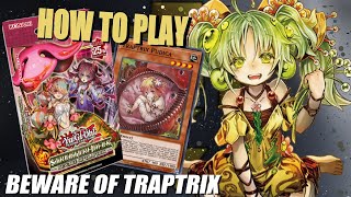 Traptrix In Depth | How to Play Beware of Traptrix Structure Deck