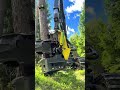 Another day in the Finnish forest 🌲🇫🇮 Morning forestry ASMR 🌲🔊 John Deere 1270G #forestry