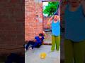 So funny 😂🤣😜😝😁#shorts #youtubeshorts #shortvideos
