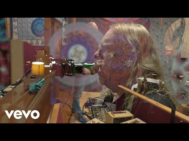 Gov't Mule - Snatch It Back And Hold It