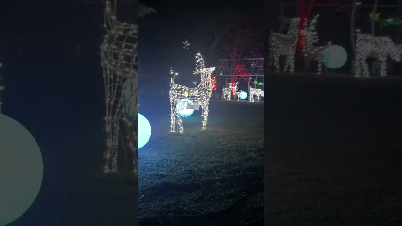 Happy Holidays (late upload) Tagum City Hall