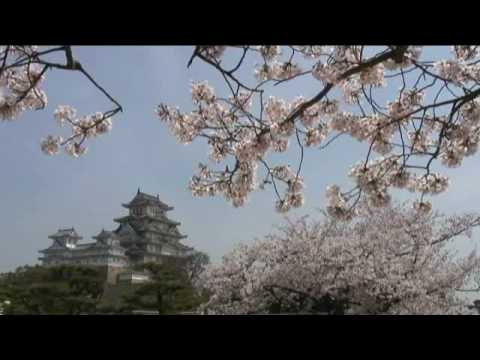 姫路城 西の丸庭園から眺める姫路城と桜 Youtube