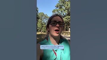 Thumbnail of August 11 City Council Recap