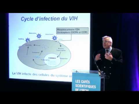 Vidéo: Effet Sous-estimé De La Méthylation Intragénique De L'ADN Du VIH-1 Sur La Transcription Virale Chez Les Individus Infectés