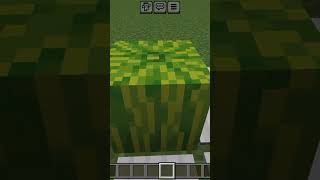 Арбуз в майнкрафт#minecraft #shorts