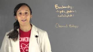 The Difference Between Biochemistry & Chemical Biology : Chemistry Lessons The Difference Between Biochemistry & Chemical Biology : Chemistry Lessons
