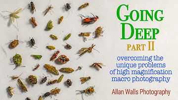 Going Deep - Part II - overcoming the unique problems of high magnification macro photography