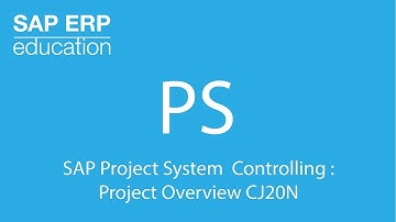 SAP Project System Controlling : Project Overview СJ20N