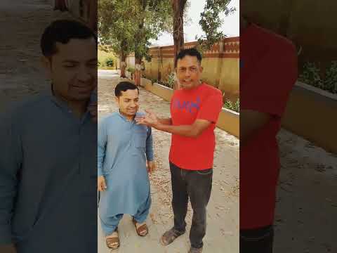 Shadi