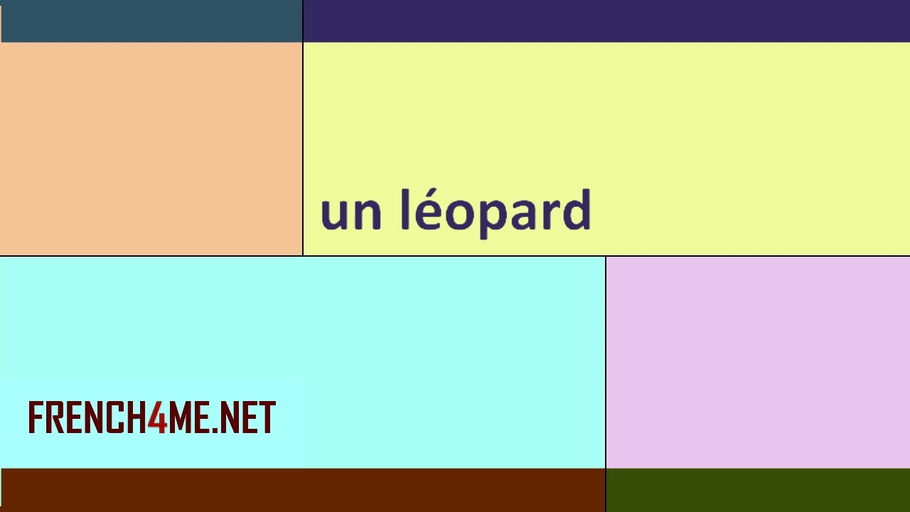 French For Beginners  I  How to pronounce  I un léopard