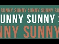 Draft Novel- Sunny (Bobby Hebb Cover)(Lyrics Video)