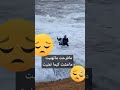مافرحت ماتهنيت
