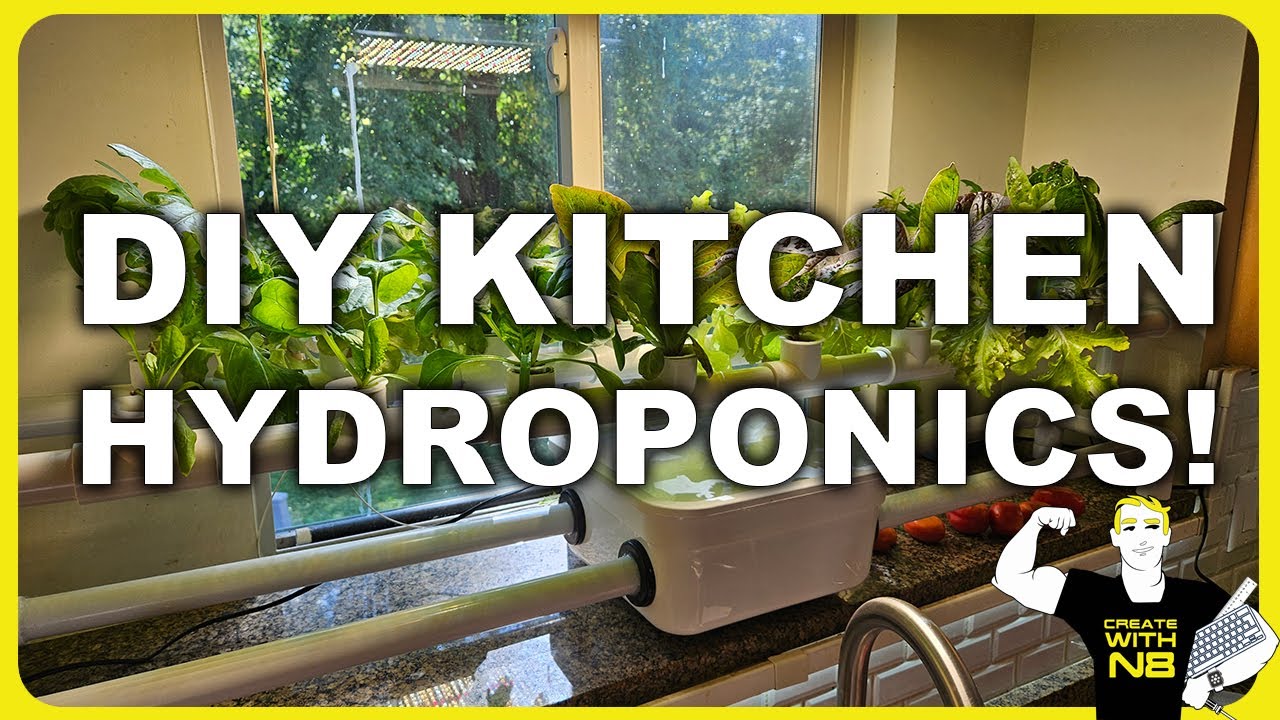 My Kitchen Hydroponics Garden Reveal And Growth TimeLapse DIY YouTube