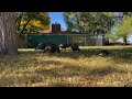 A flock of turkeys gathers in a central Casper yard