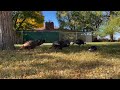 A flock of turkeys gathers in a central Casper yard