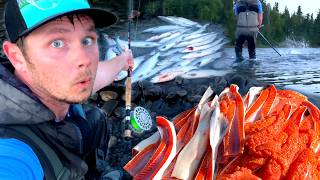 Skunked Salmon Fishing in Alaska Then This Slams Me!