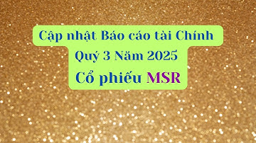 Cập nhật Báo cáo tài chính Quý 3 Năm 2025 của cổ phiếu MSR