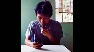 Cat plays iPhone ringtone on xylophone! Resimi