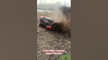 Vigorun remote control caterpillar multitasker made by Vigorun Tech