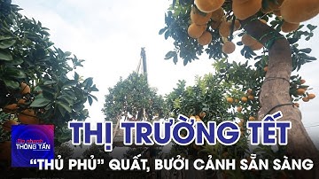 “Thủ phủ” quất, bưởi cảnh Văn Giang sẵn sàng cho thị trường Tết | Tin nhanh Thông tấn