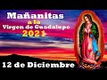 Mañanitas A La Virgen De Guadalupe 2021 Nini Estrada Y Su Órgano Melódico