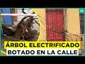 Árbol electrificado queda botado en la calle en centro de Santiago