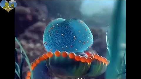 سورة التكاثركاملة بصوت القارء الشيخ احمد تميم المراغي.Holy Quran Surat Al-Takathur complete