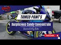 Tamco Paint's Candy Concentrate - Burplicious Candy Concentrate painted by Slammed Dirty Rides