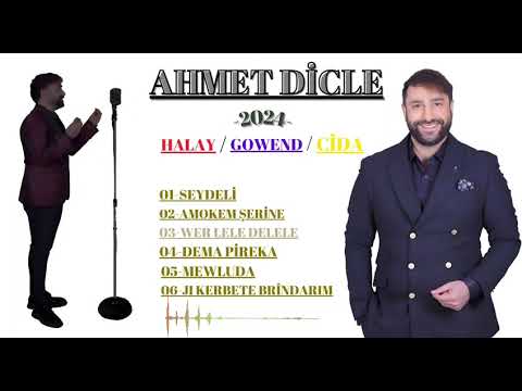 Ahmet Dicle 2024 Bomba Halay ( Gowend )