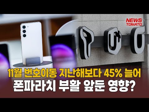   11월 번호이동 올들어 최대 말하는 기자들 중기 IT 1204