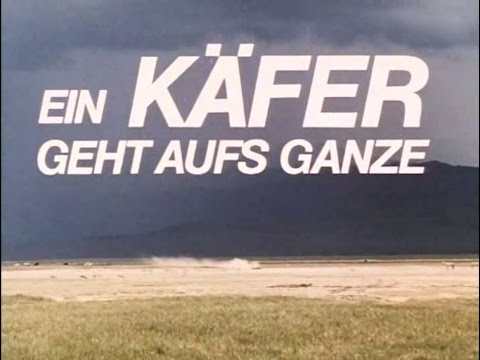 Ein Käfer geht aufs ganze