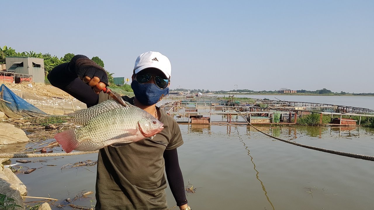 Câu cá sông đuống ngồi rình cả buổi mới bắt được cá to