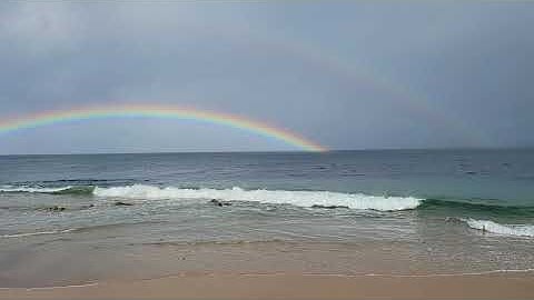 When a complex system is far from equilibrium, small islands of coherence in a sea of chaos have