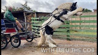 'Why Didn't You Just Break Her Yourself?'  with Lulu the Cob