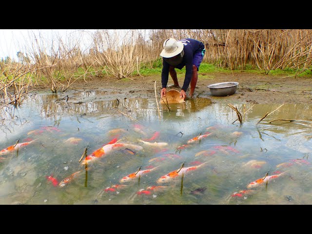 Wow, how a nice day.😍 Let's go fishing with HANDING Magic Shadow Fish