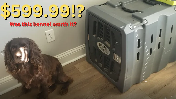 Lucky Duck Kennel Review with Bruce (Boykin Spaniel)