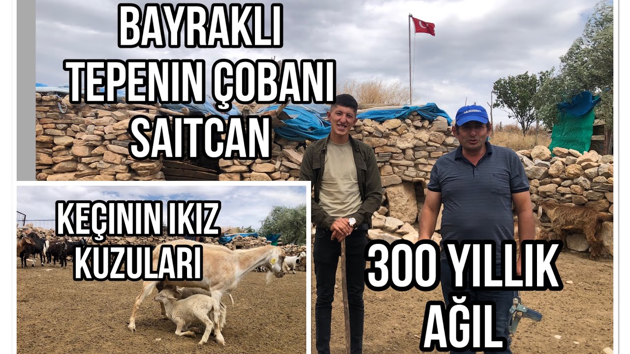300 YILLIK AĞILDA, 300 KOYUNU, 3 TON YEM İLE KIŞTAN ÇIKARTAN ÇOBAN
