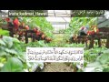 سورة سبأ ماجد الزامل 
