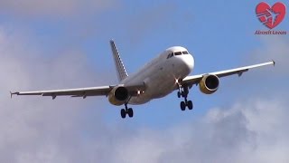 Vueling Airbus A320 │ Landing During Heavy Storm 