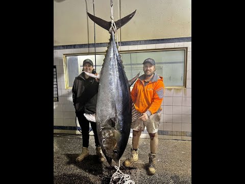 Video: Tuna Nyias