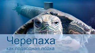 Черепаха как подводная лодка