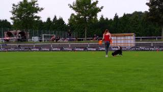 Nina und Neyla Disc-Dog-Challenge Hohenlohe by Alen Soldic 308 views 9 years ago 2 minutes, 6 seconds