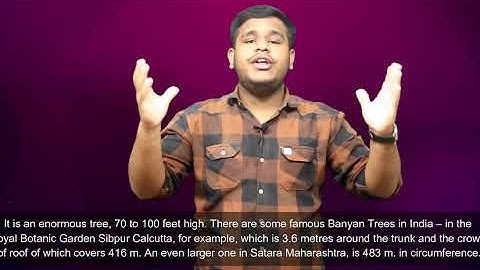 Lesson 22 | 12th NIOS | Reading with Understanding | Banyan tree Animal Classes Worm & Cold Blood |