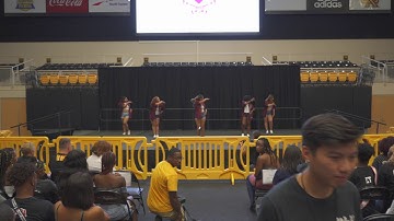 KSU Yard Show 2018 | Lambda Theta Alpha