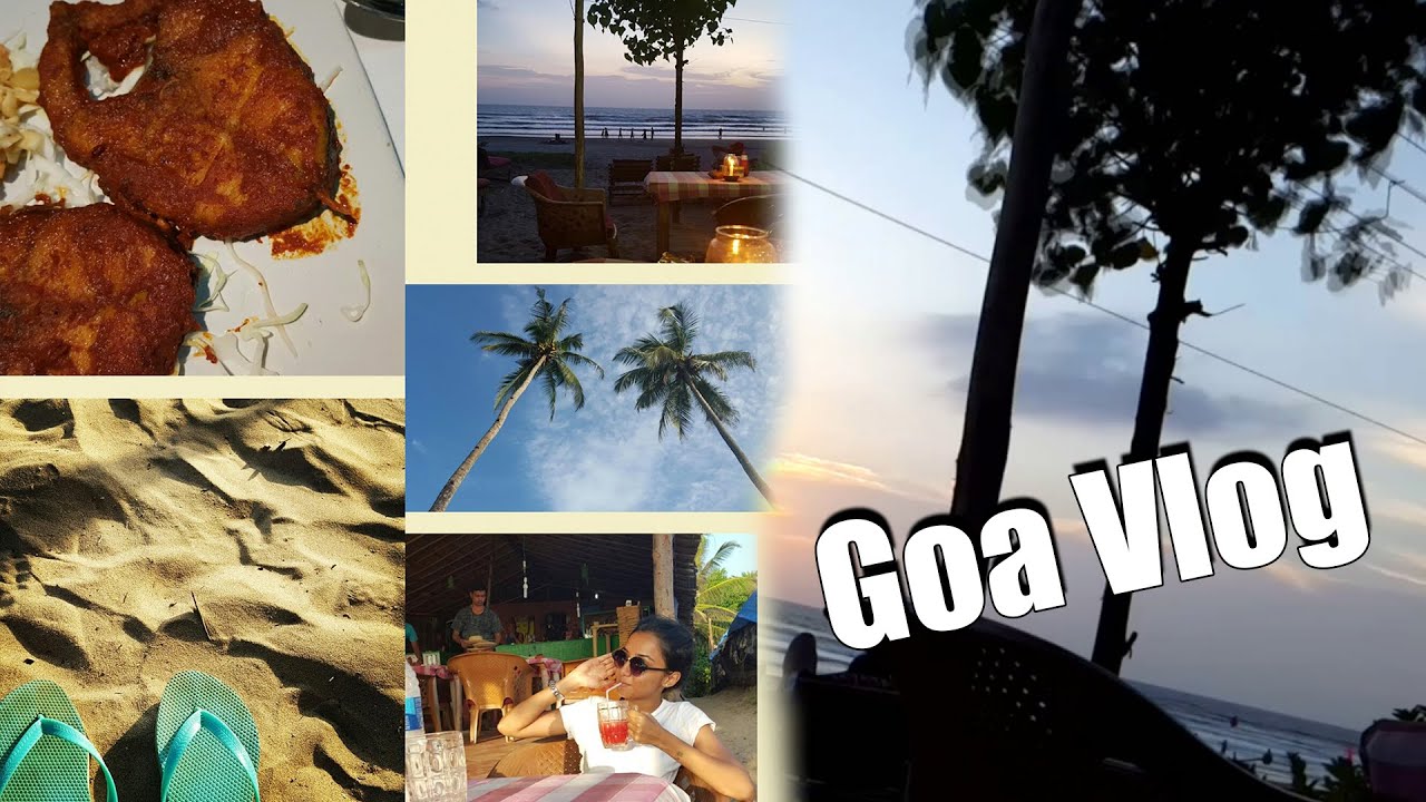Goa Vlog | MostlySane | MostlyVlogs top comedy video village