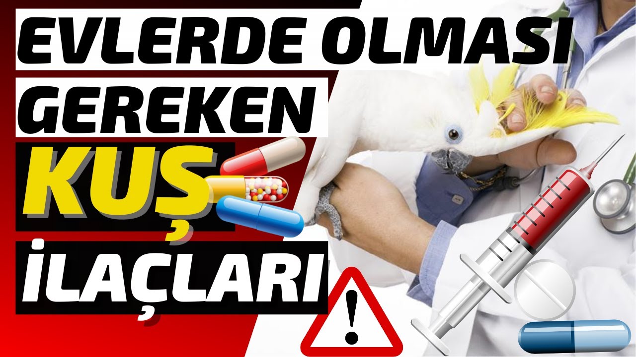 KUŞ BAKAN ve ÜRETENLERİN 